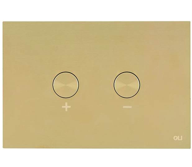 Кнопка смыва OLI BLINK золото с установкой и подключением